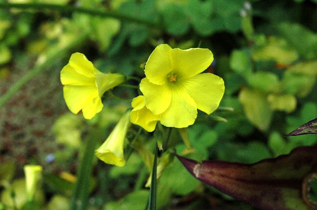 [DSC_9001_640x425.jpg]