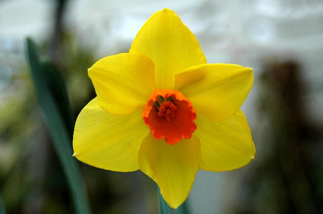 [DSC_9010_640x425.jpg]