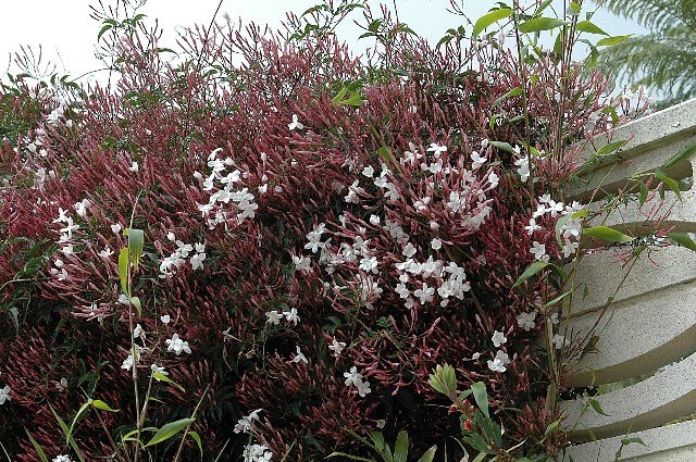 [DSC_9002_640x425.jpg]