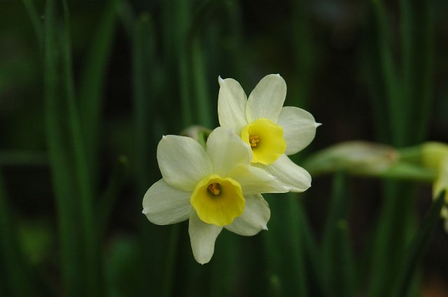 [DSC_9127_640x425.jpg]