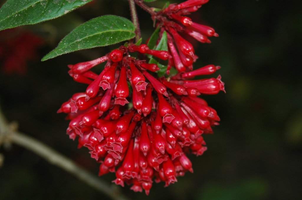 [DSC_6725_1024x680.jpg]