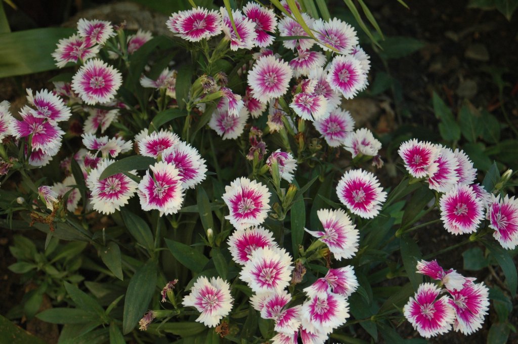 [DSC_6630_1024x680.jpg]