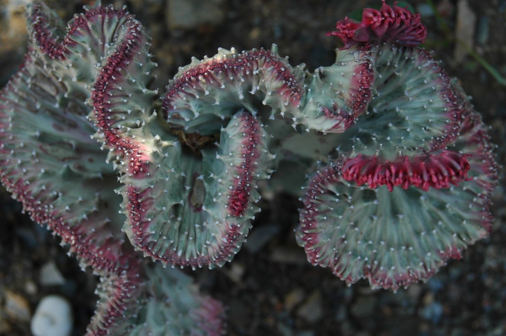 [DSC_6857_1024x680.jpg]