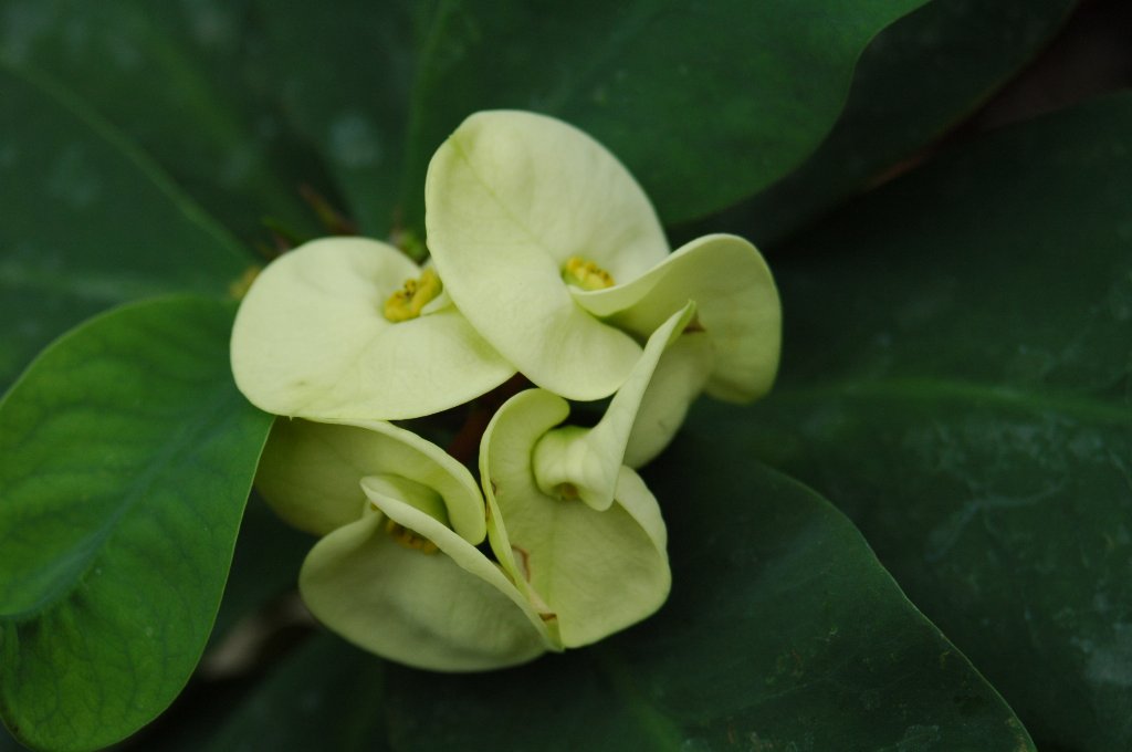 [DSC_6881_1024x680.jpg]