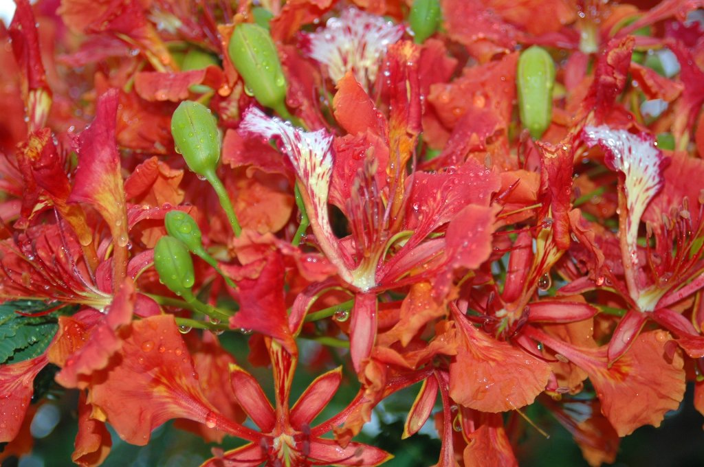 [Cuba+(64)_1024x680.jpg]