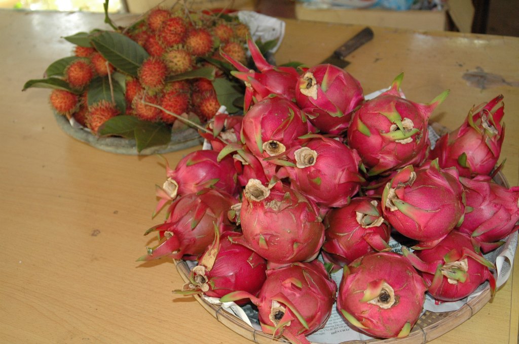 [DSC_7984_1024x680.jpg]