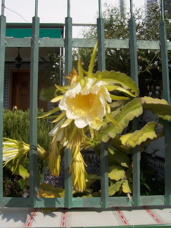 [100_2238_576x768.jpg]