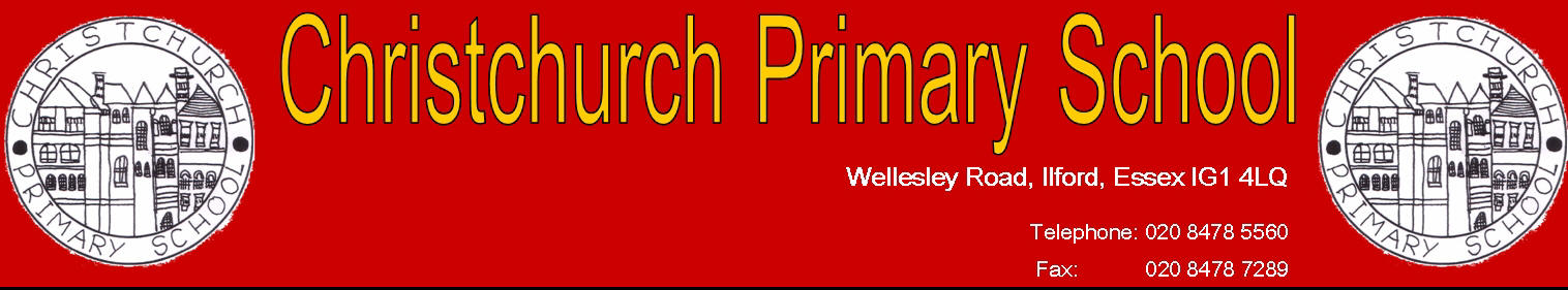 year-3-at-christchurch-primary-school-january-2011