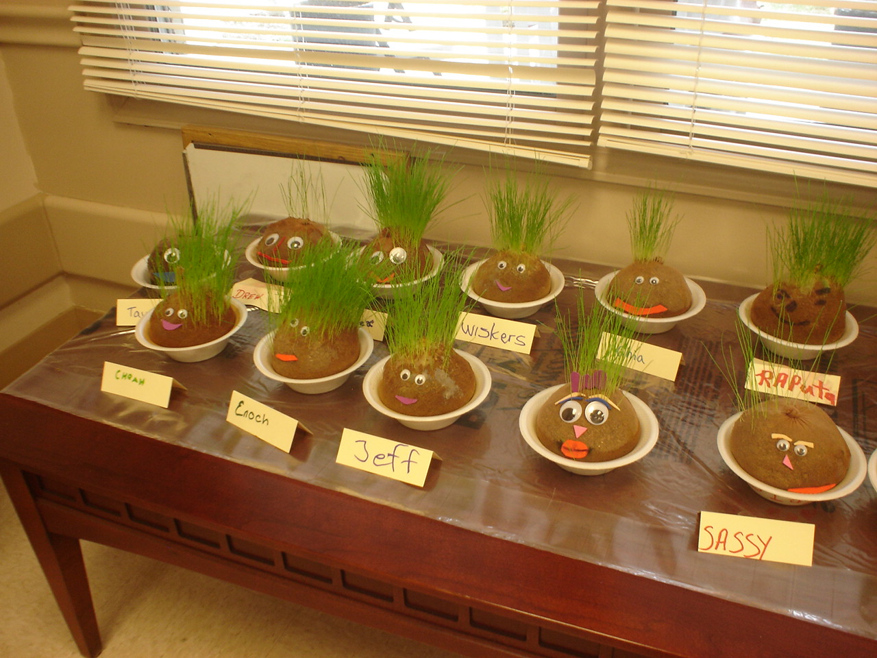 Hidden Crums Homemade Chia Pets