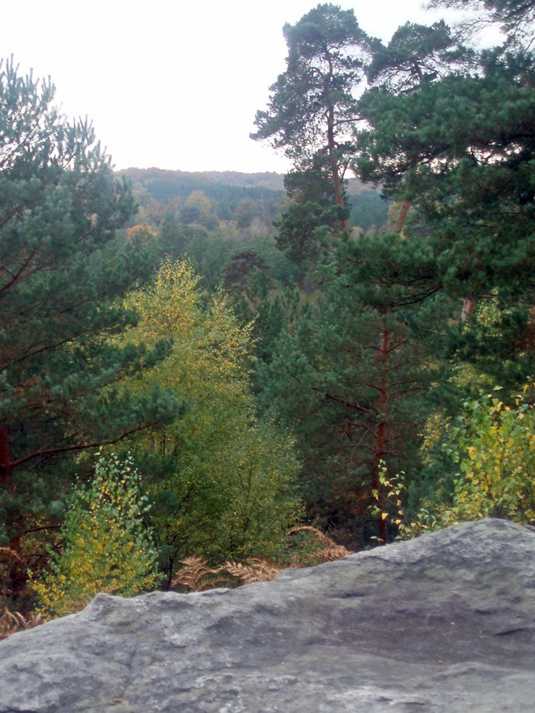 Ile de France Walks Wednesday 16 June at Rambouillet