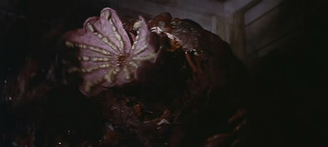 [snapshot20091204013503.jpg]