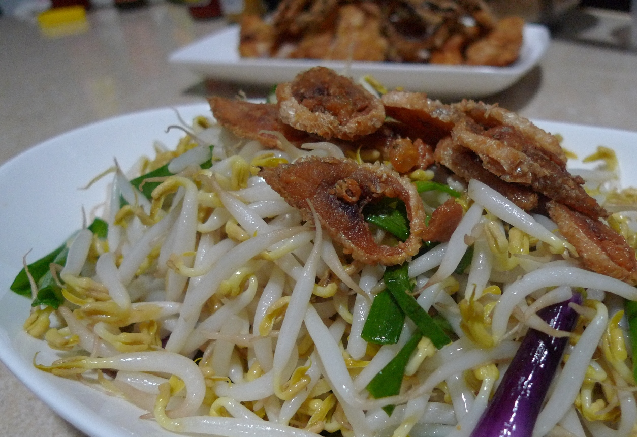 homecookedecstasy Bean Sprouts with Salted Fish