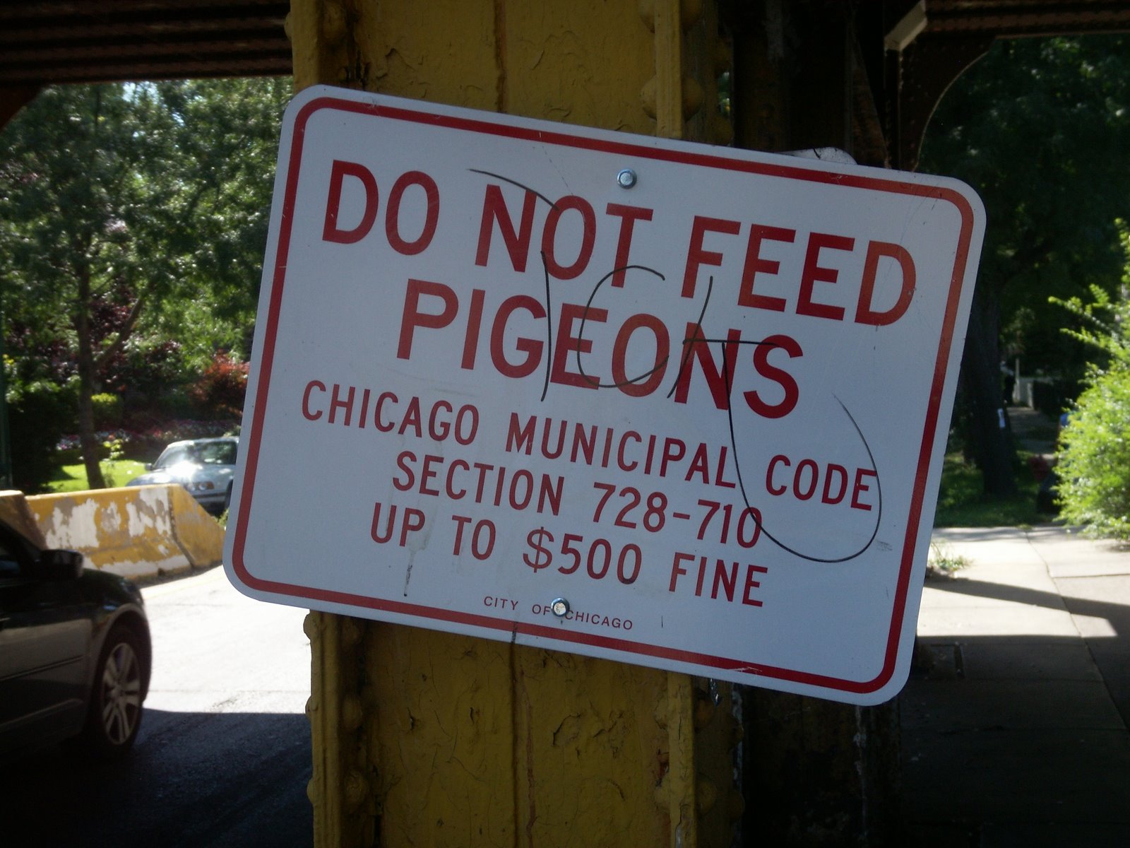 [Do+not+feed+the+pigeons.JPG]