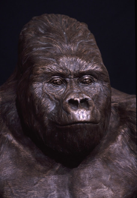 Anthony Hopkins Gorilla Anthony Hopkins Gorilla
