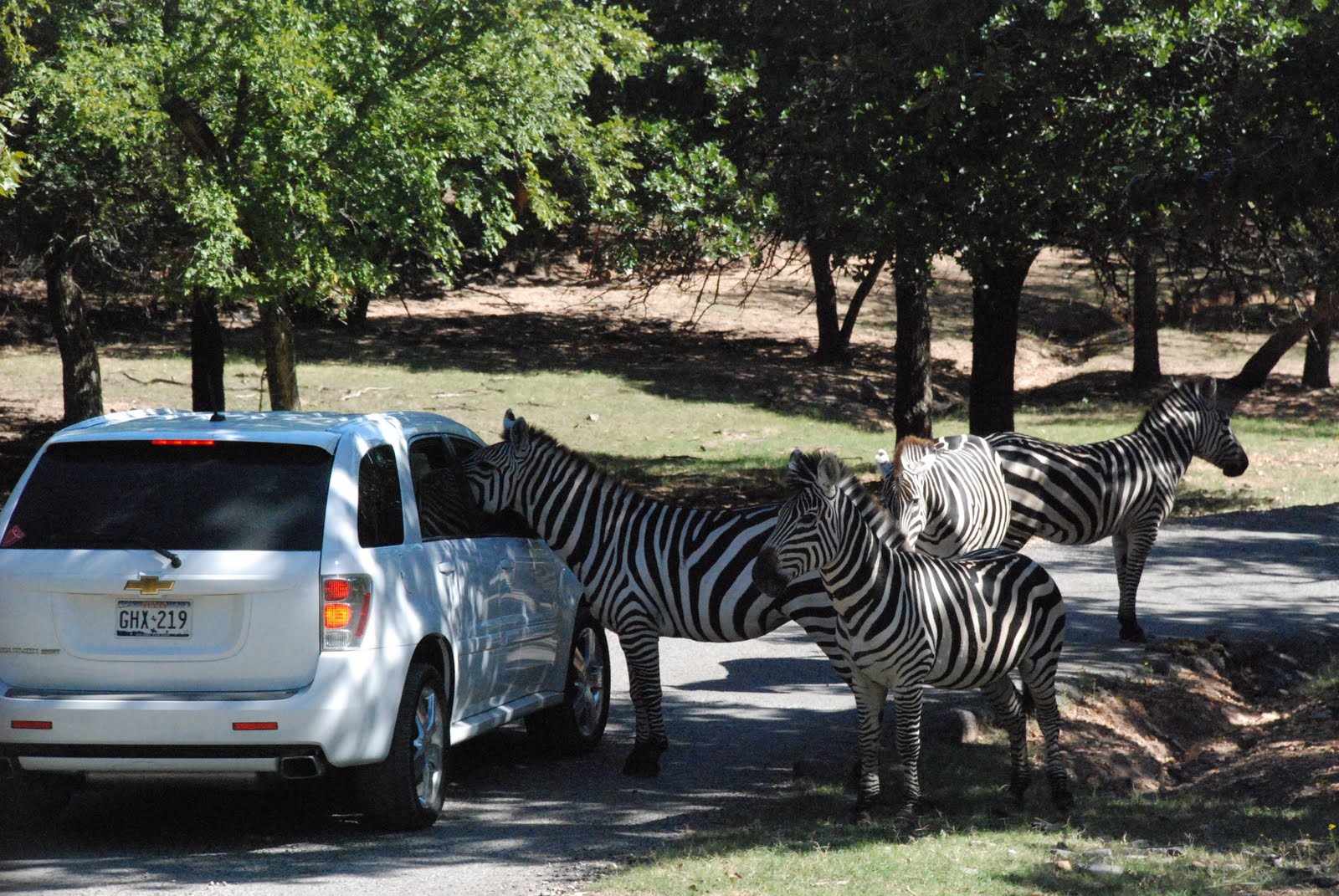 Adams RVing Adventures Arbuckle Wilderness in Davis, Oklahoma