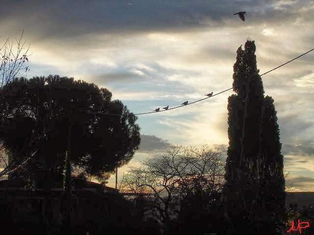 [equilibrista+4.jpg]