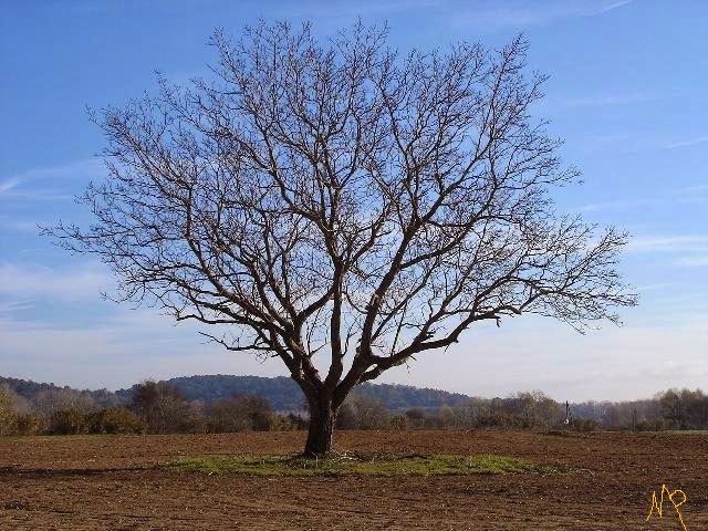 [interiores+empresa.jpg]