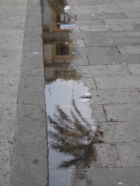 [plaza+real+0705.jpg]