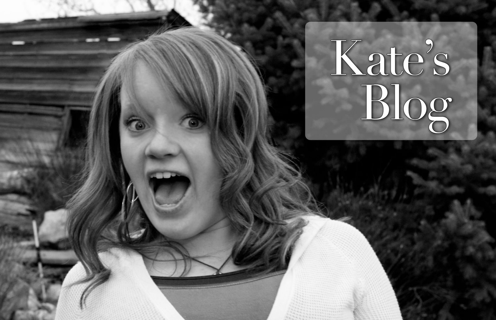 Katester's Blog