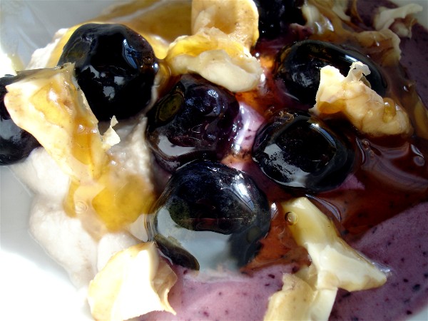 [z-fool+raw+vegan+blueberry+yogurt+recipe+3.jpg]