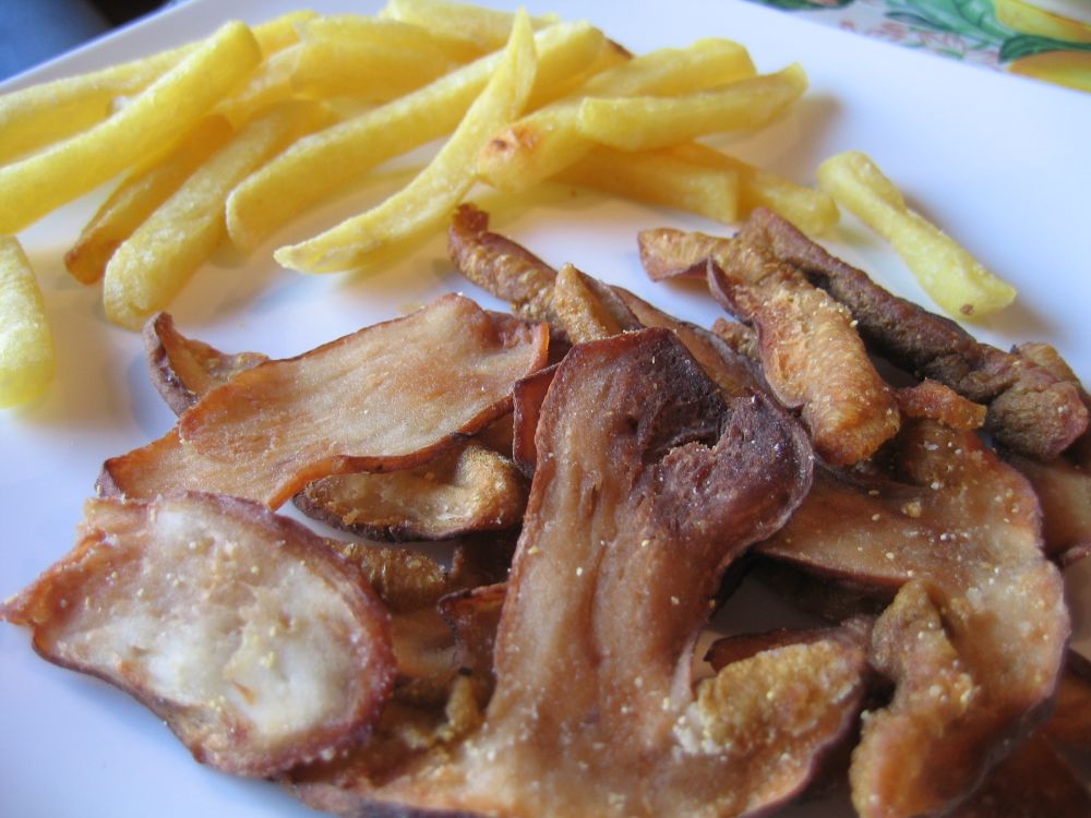 Funghi porcini fritti Milù, di tutto e di più!