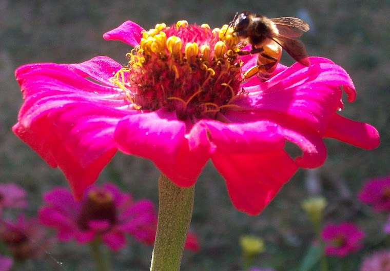 MR BEAN WORLD WAR 1 visual data 7