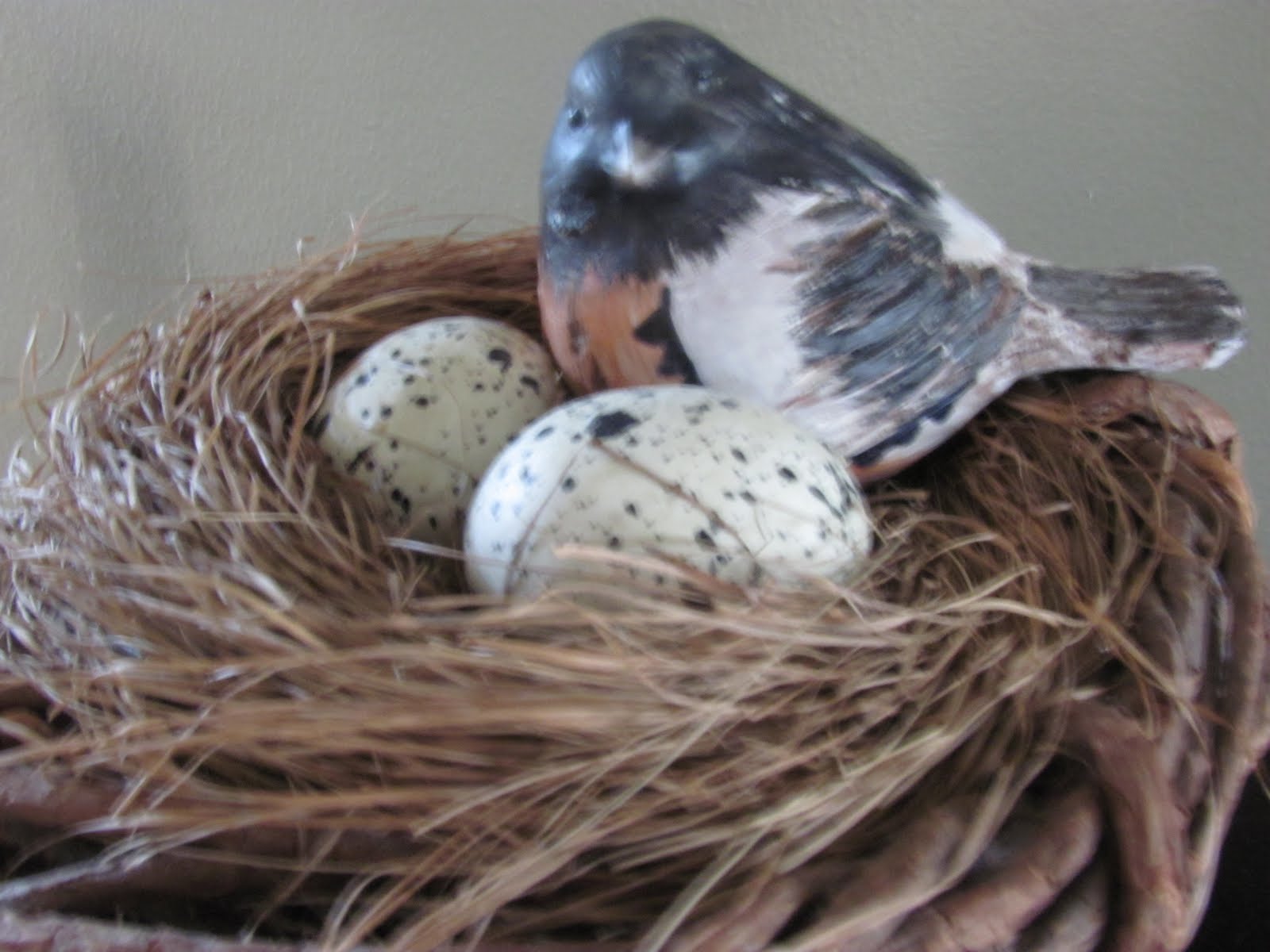 Growing Gourmets A Feathered Nest