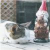 Need to Shrink Your Pictures? Click on Gizmo and the Garden Gnome.