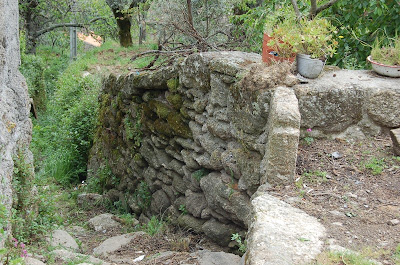 A PÁGINA DO ZÉ DA GUARDA Mizarela.