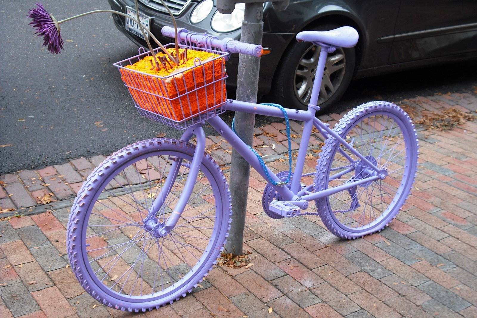 [Novembre2008+312.jpg]