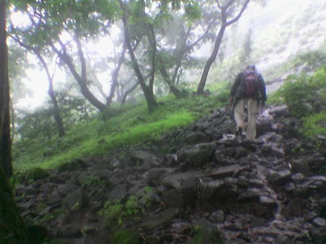 [ATgAAAAF4jnwl_J3Xyv0DJqxXWHdKHCAtblwZz_kLE2hrPISsUENTbFAxb4TVDx7rIRbTZHWagWNedcyPHmbEjji0pmJAJtU9VCLkBcZMaA0bEjOTaiaBPpRgQtHhQ.jpg]