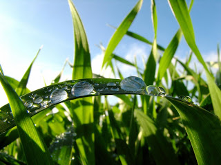 Top Morning pictures - Best Wallpapers On The Net