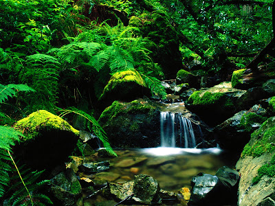 state-park-california