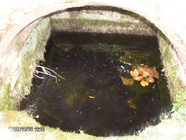 [Photo+Editor_HPIM4941.JPG]