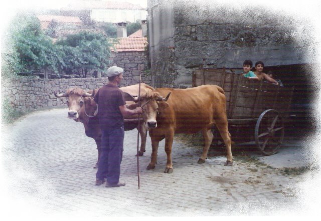 [Photo+Editor_Picture+054.jpg]