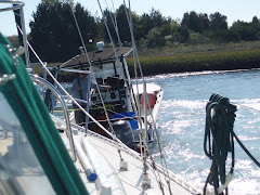 DeLaMer Aground