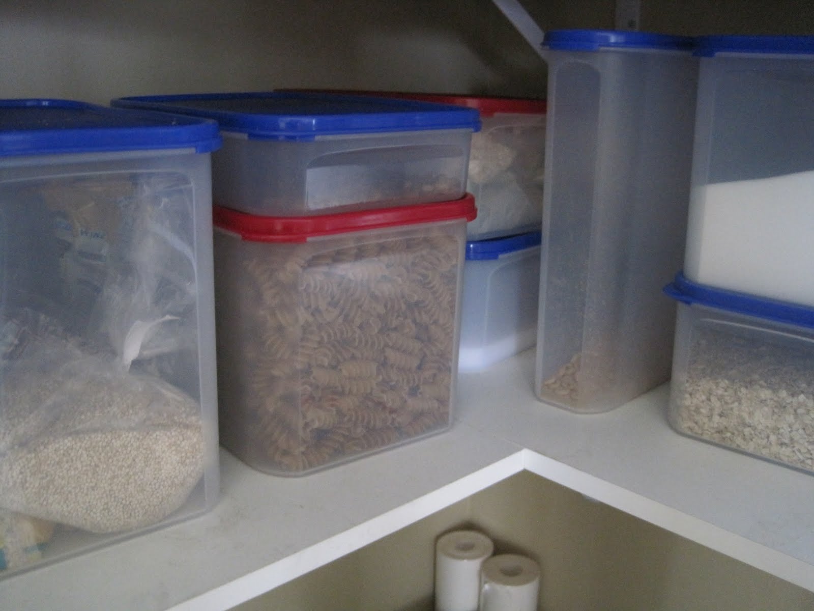 Tupperware You Are tupperware and costco shopping