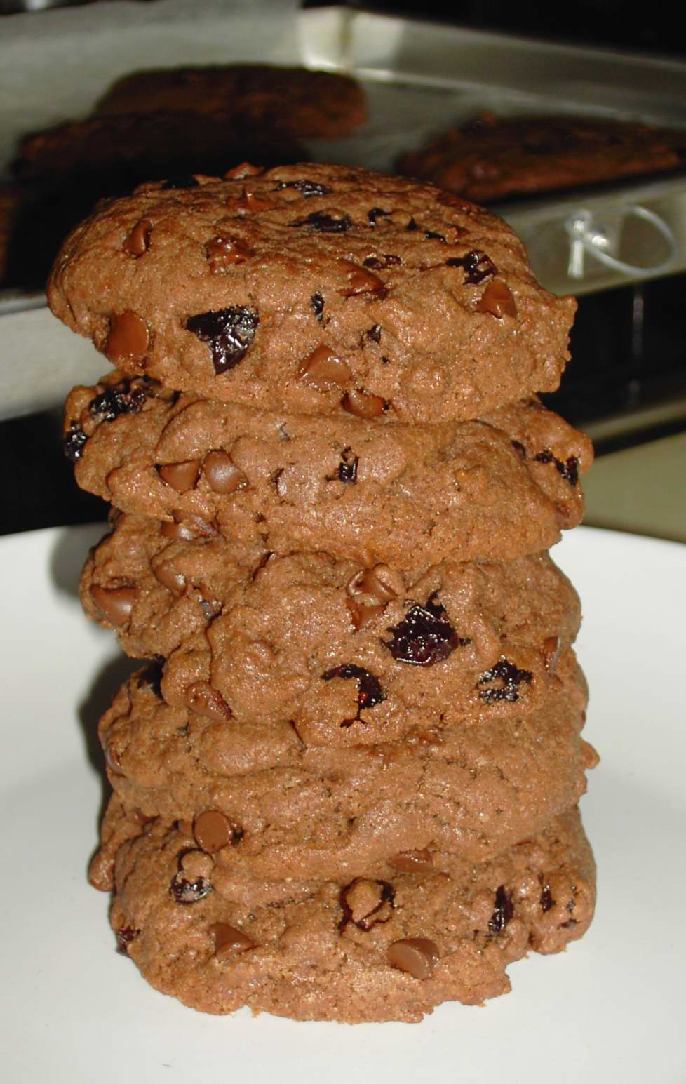 [chewy+double+choc+chip+cookie.JPG]
