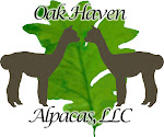 Oak Haven Alpacas, LLC, & Oak Haven Sheep, LLC