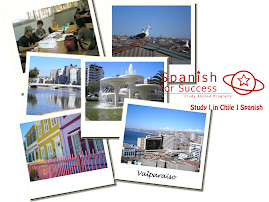 Study Abroad Chile