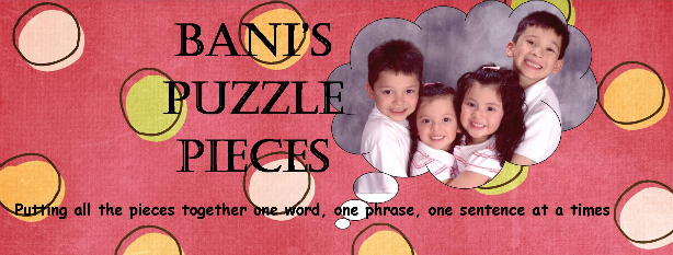 Bani's Puzzle Pieces