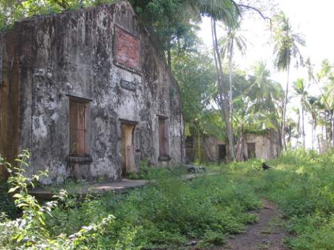 La Vida Invisible Isla del Diablo