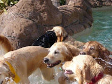 Bailey in the middle leaving the pool