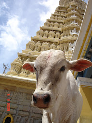 Sri Chamundeswari Temple