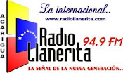 Llanerita 94.9 FM
