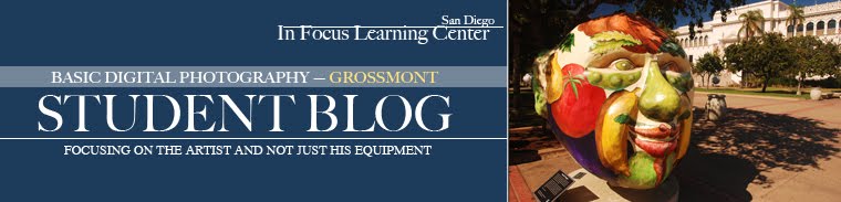 IFLC Grossmont Blog