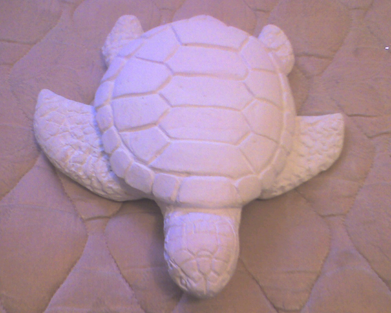 4d studio reasha: Carving of turtle