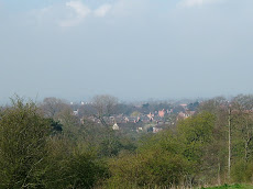 View from Beacon Hill