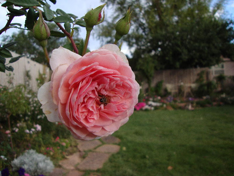 Abraham Darby and Friend