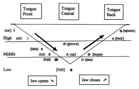 Vietor Triangle Chart